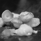 OSAKAきっちん | 銀座・人形町・神楽坂・虎ノ門の鉄板焼き