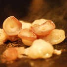 OSAKAきっちん | 銀座・人形町・神楽坂・虎ノ門の鉄板焼き